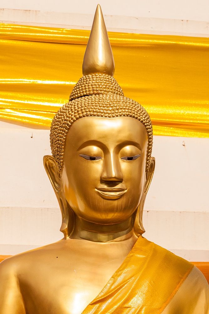 Thailand-Nong Khai Province Head and shoulders of golden Buddha statue